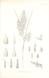 n134_w1150