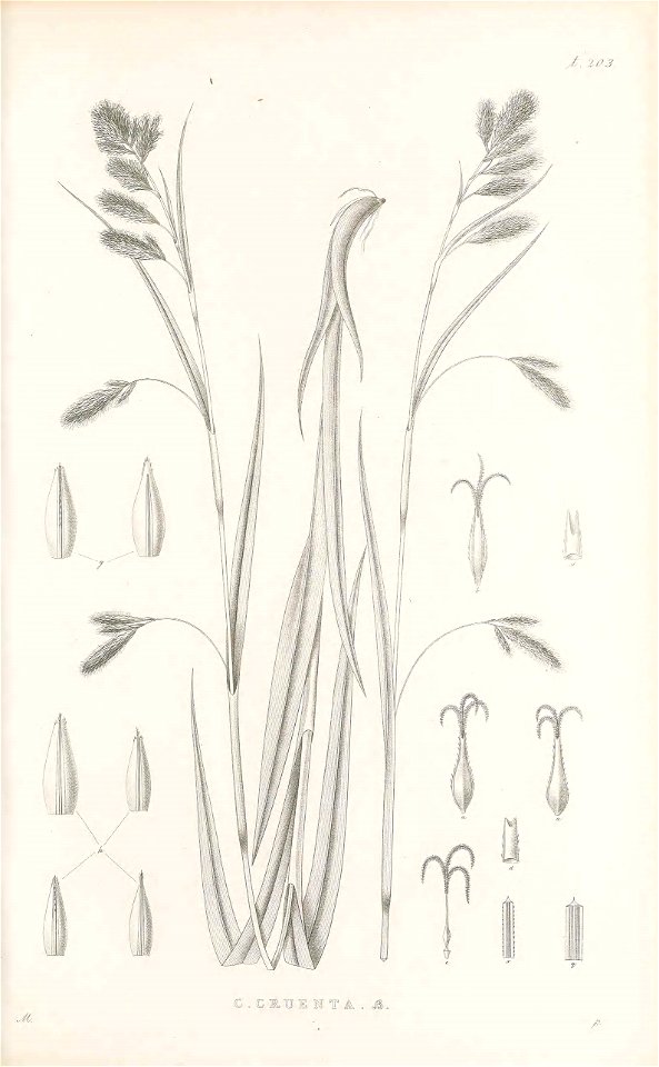 n44_w1150