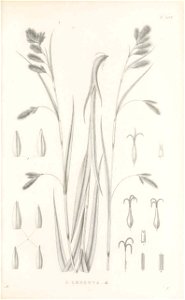 n44_w1150