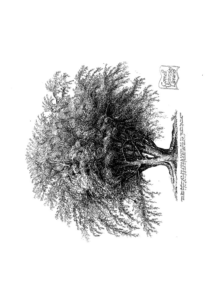 n49_w1150
