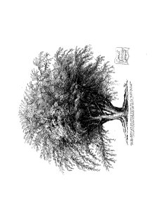 n49_w1150