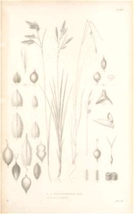 n494_w1150