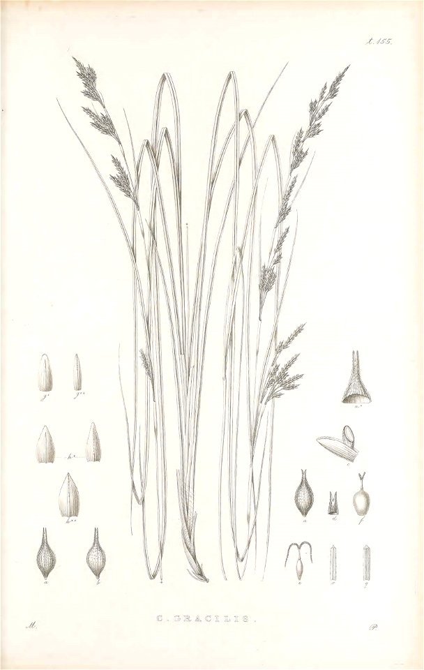 n404_w1150