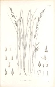 n404_w1150