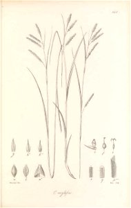 n374_w1150