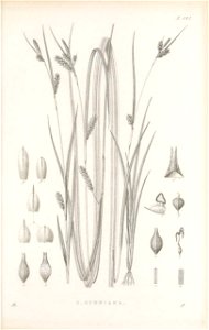 n464_w1150