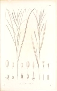 n314_w1150