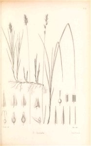 n194_w1150