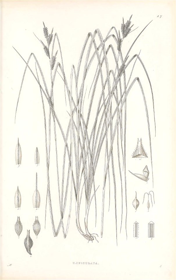 n104_w1150
