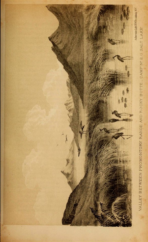 n218_w1150