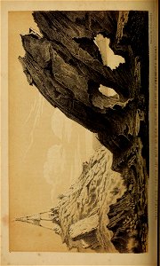 n205_w1150