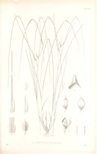 n302_w1150