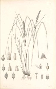 n92_w1150