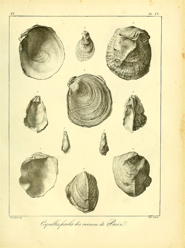 n544_w1150