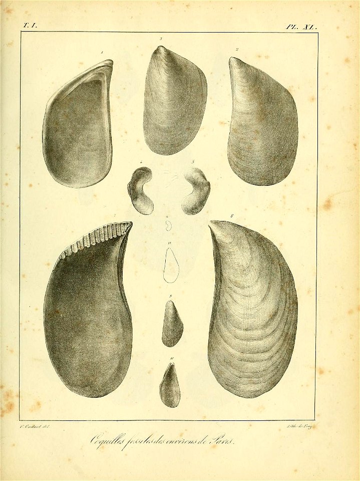 n514_w1150