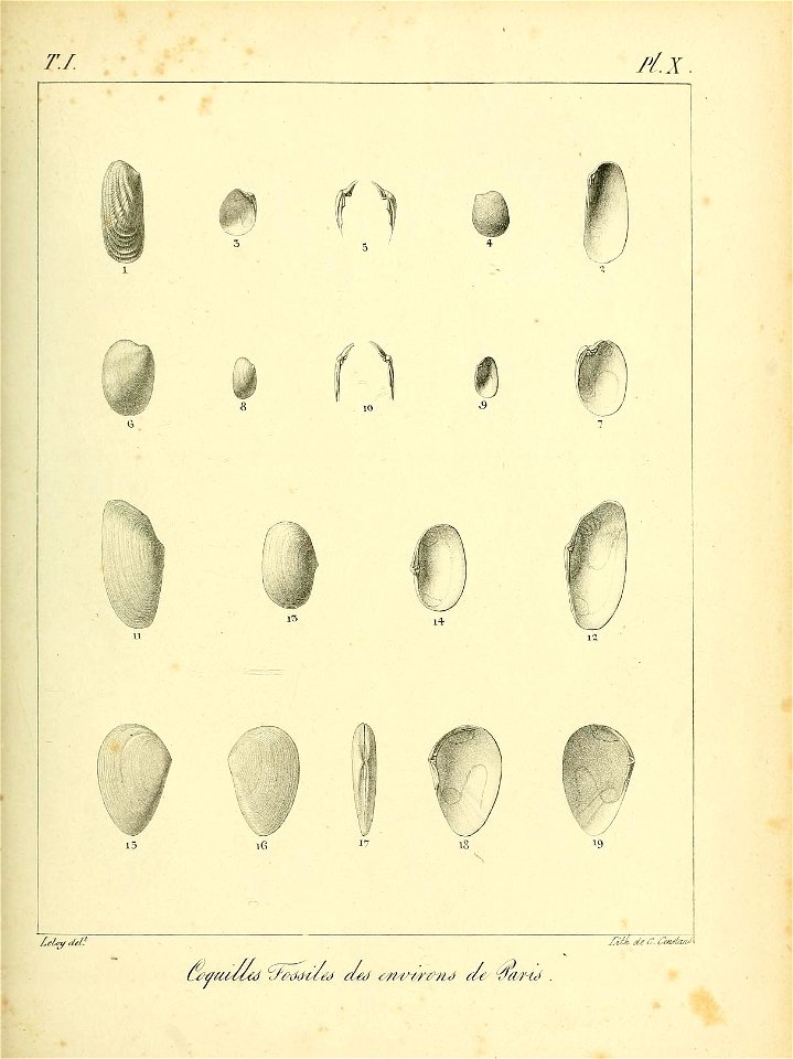 n454_w1150