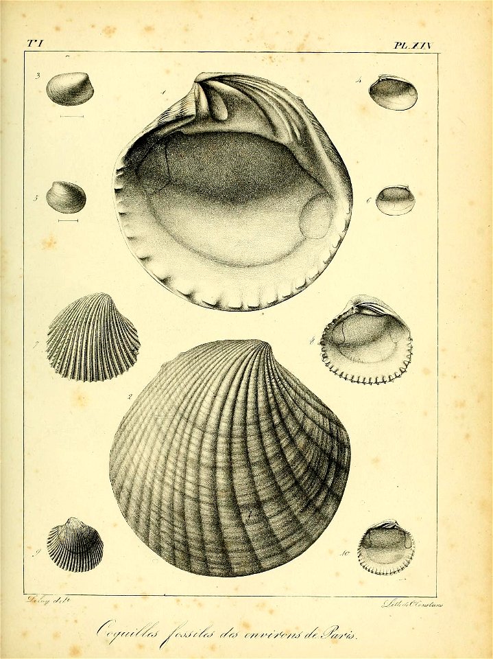 n484_w1150
