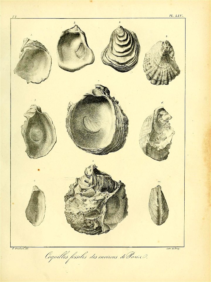 n542_w1150