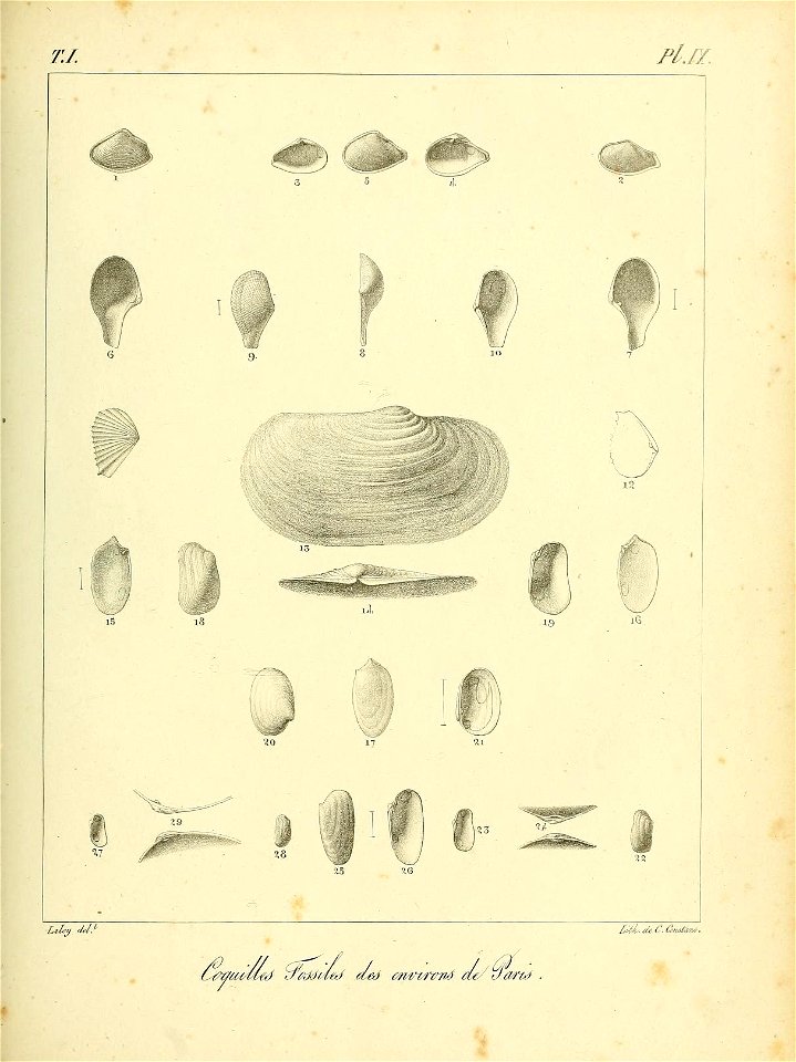 n452_w1150