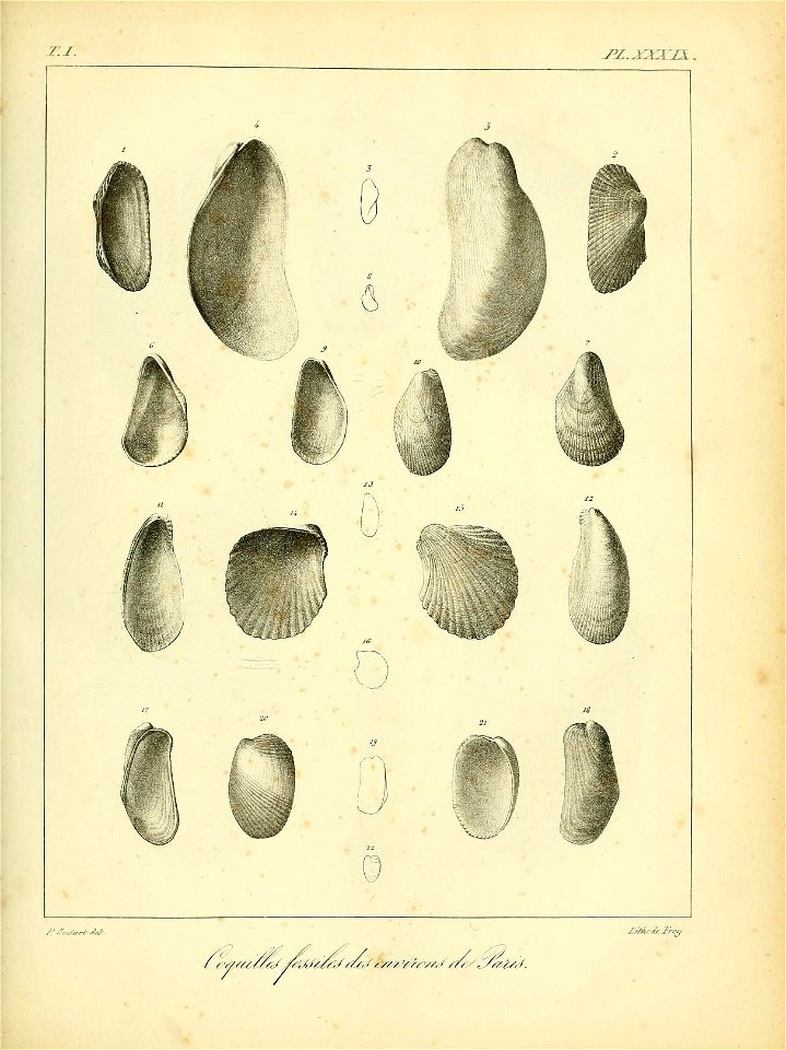 n512_w1150