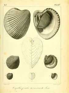 n482_w1150
