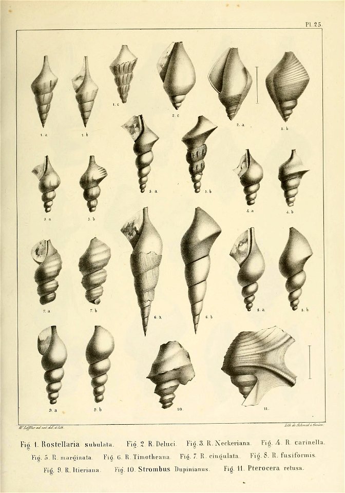 n56_w1150