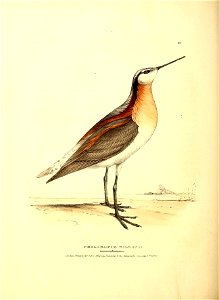 n569_w1150