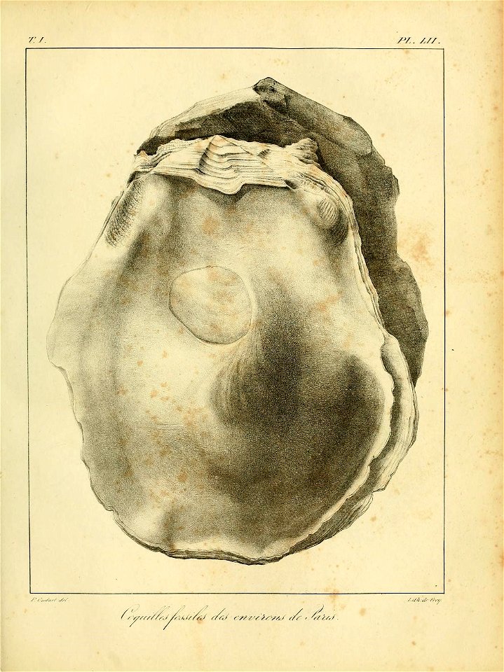 n538_w1150