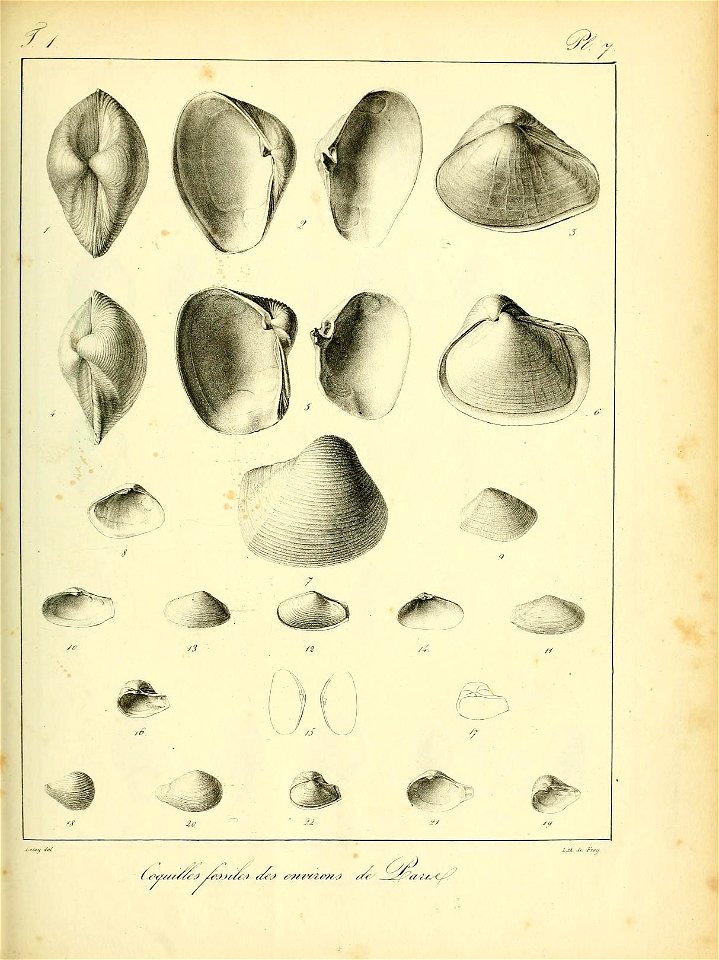 n448_w1150
