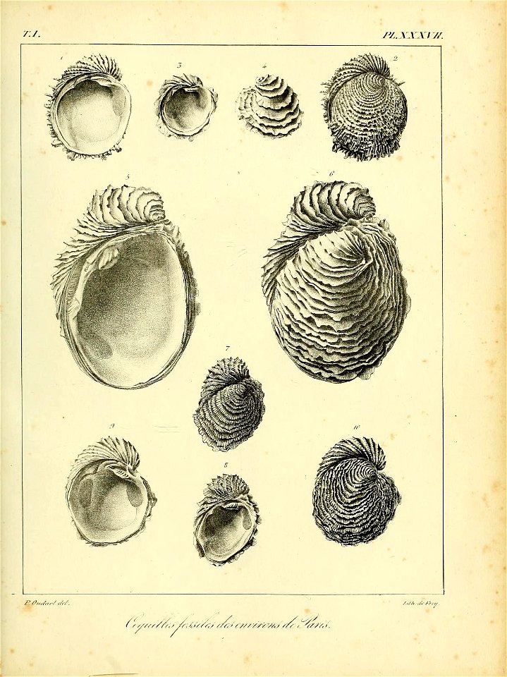 n508_w1150