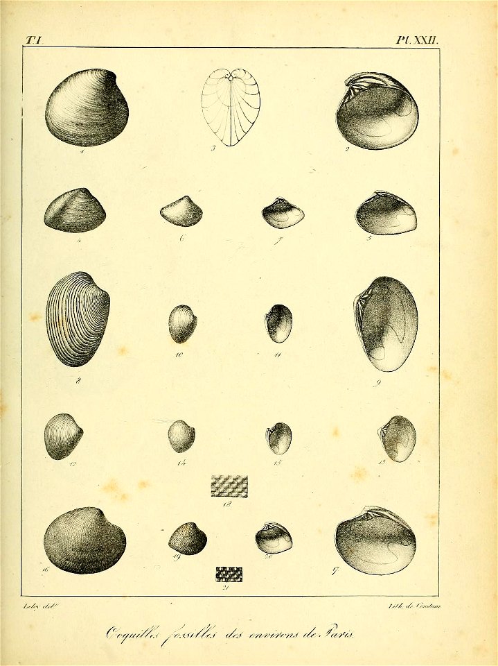 n478_w1150