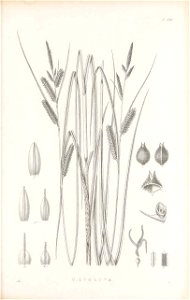 n350_w1150