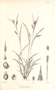 n260_w1150