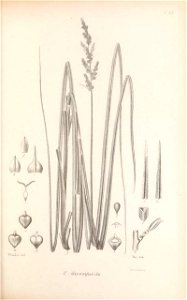 n200_w1150