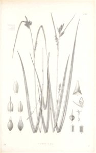 n140_w1150