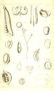 n132_w1150