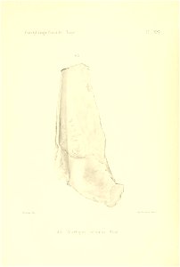 n107_w1150