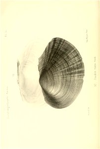 n249_w1150