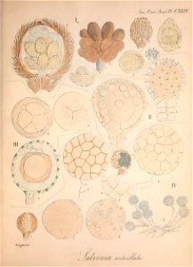 n158_w1150