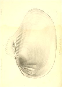 n171_w1150