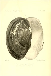 n393_w1150