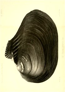 n169_w1150