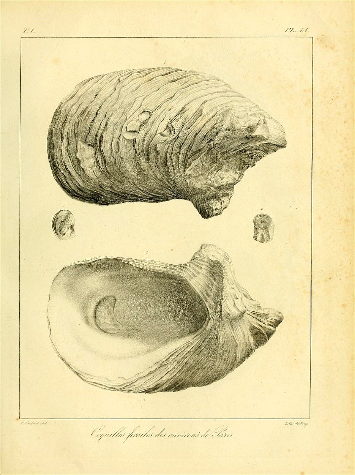 n536_w1150