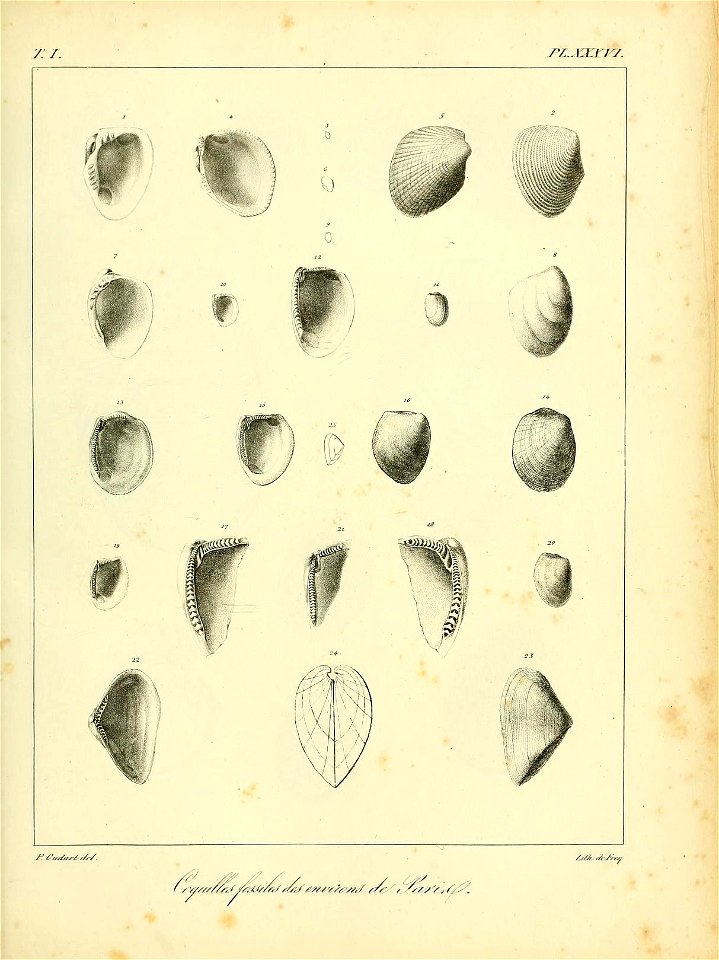 n506_w1150