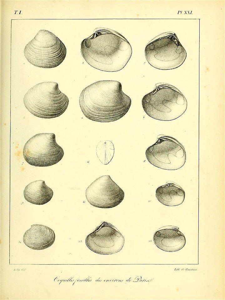 n476_w1150