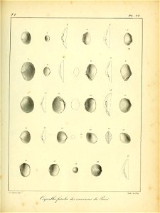 n446_w1150