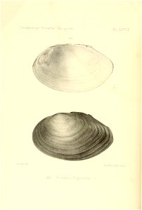 n389_w1150