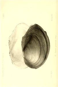 n229_w1150