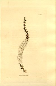 n198_w1150