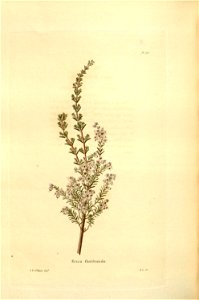 n160_w1150